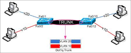 Dot1Q trunking