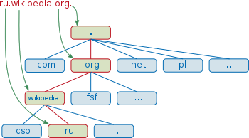Domain Name