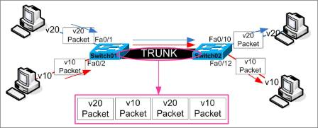 Dot1Q trunking