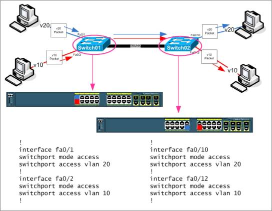 Dot1Q trunking