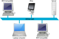LAN